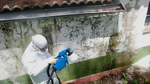 Mold Remediation service in Paris, Paris, VA